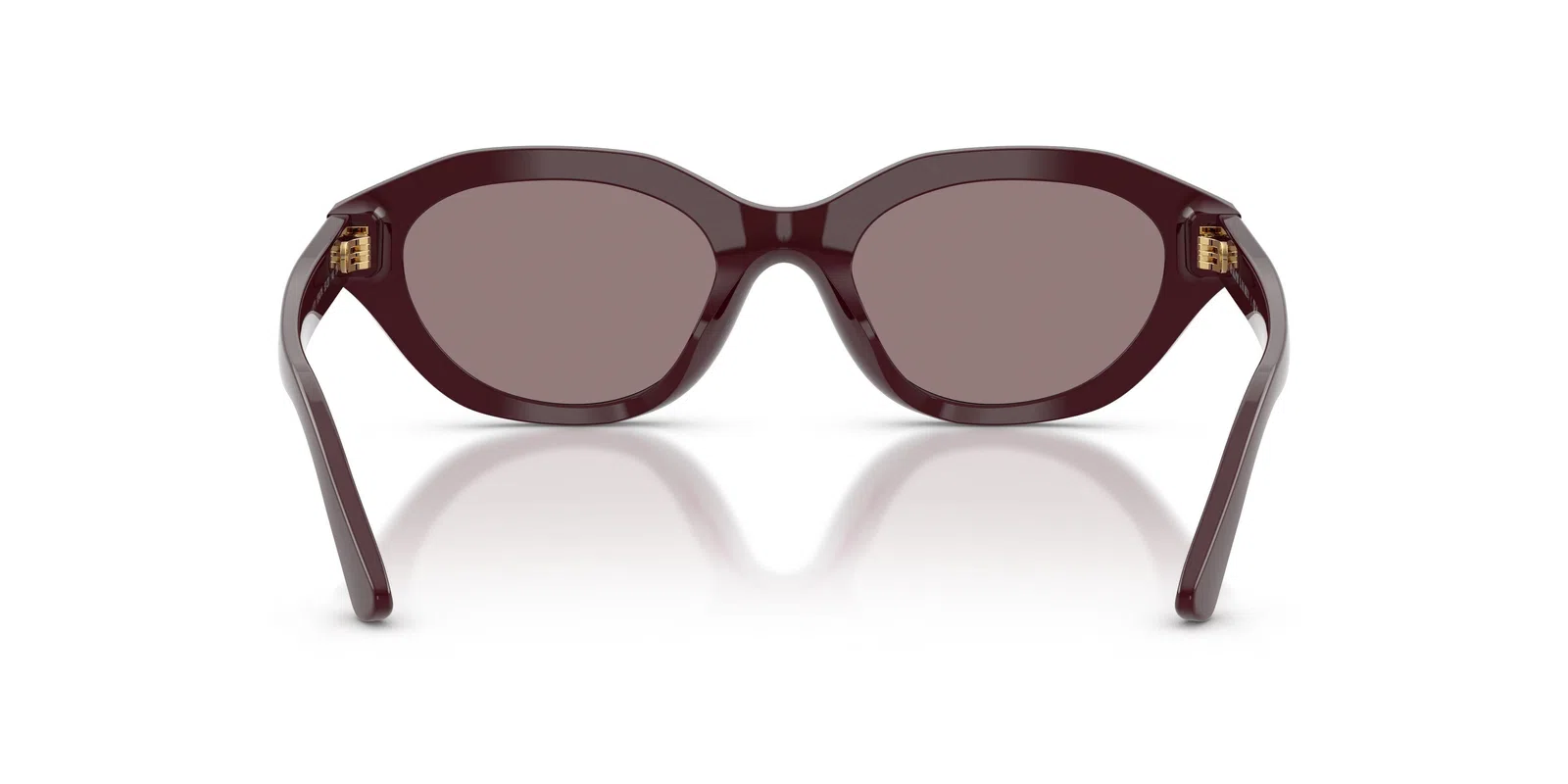 Polo 4237U Sunglasses - view 23
